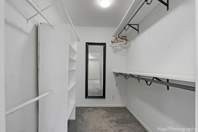 1132 E Randville Dr Unit 2E, Palatine, IL 60074 - spacious closet with carpet floors