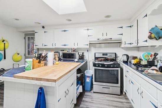 2104 S River Rd, Des Plaines, IL 60018 - kitchen with stainless steel appliances, under cabinet range hood, white cabinetry, light wood-style flooring, and a skylight
