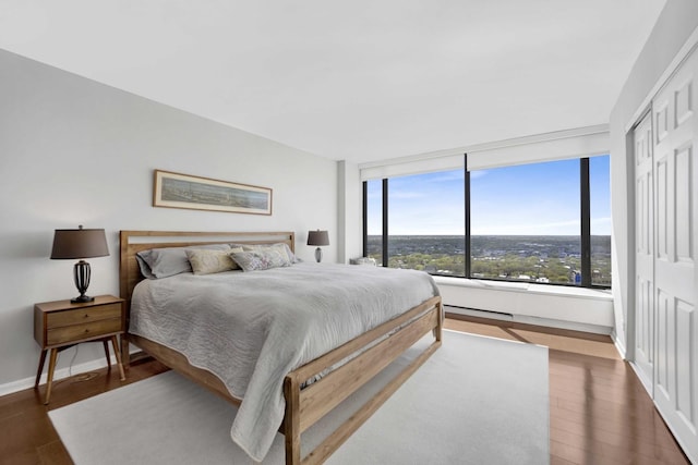 5455 N Sheridan Rd Unit 2915, Chicago, IL 60640 - bedroom with dark wood-style floors, baseboards, and a closet