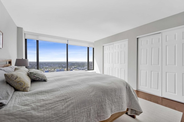 5455 N Sheridan Rd Unit 2915, Chicago, IL 60640 - bedroom with floor to ceiling windows, two closets, and wood finished floors