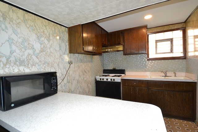 2820 S Shields Ave, Chicago, IL 60616 - kitchen with white gas range oven, black microwave, a sink, and light countertops