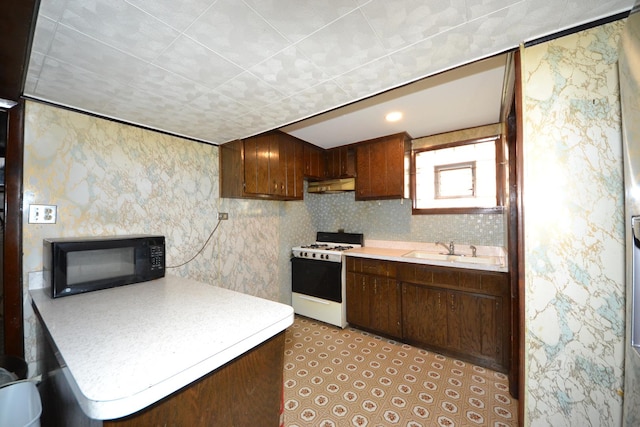 2820 S Shields Ave, Chicago, IL 60616 - kitchen with white range with gas cooktop, black microwave, a sink, under cabinet range hood, and light countertops