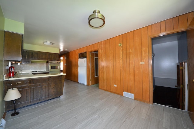 2820 S Shields Ave, Chicago, IL 60616 - kitchen featuring wall oven, freestanding refrigerator, light countertops, decorative backsplash, and a sink