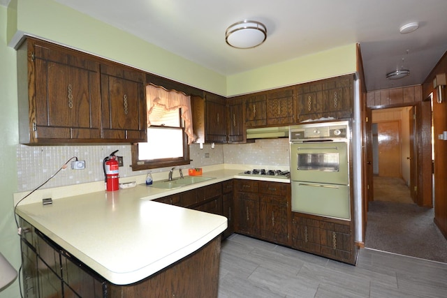 2820 S Shields Ave, Chicago, IL 60616 - kitchen with a sink, a peninsula, light countertops, backsplash, and under cabinet range hood
