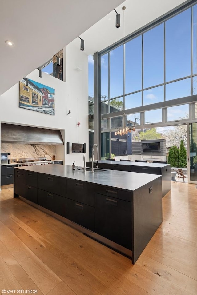 kitchen featuring dark cabinets, light wood-style flooring, a sink, and modern cabinets
