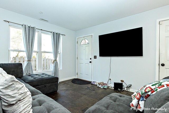613 W Pheasant Ct, Round Lake Beach, IL 60073 - living area with dark stone finish floors and baseboards