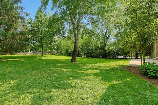 28W624 Berkshire Rd, West Chicago, IL 60185 - view of yard featuring view of scattered trees