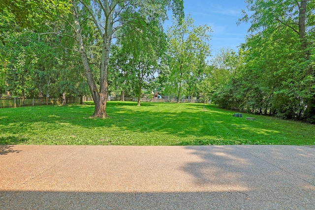 28W624 Berkshire Rd, West Chicago, IL 60185 - view of yard
