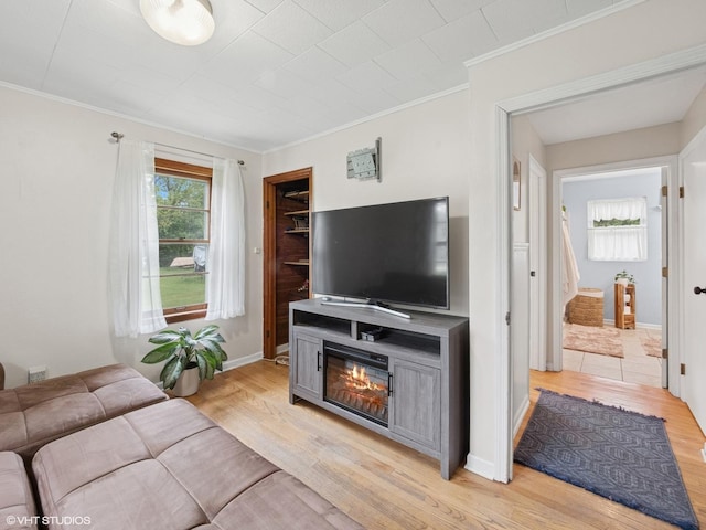 1345 Winaki Trl, Algonquin, IL 60102 - living area featuring light wood-style floors, crown molding, and baseboards