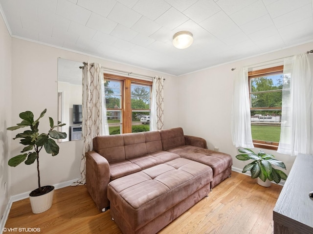 1345 Winaki Trl, Algonquin, IL 60102 - living room featuring wood finished floors, ornamental molding, and baseboards