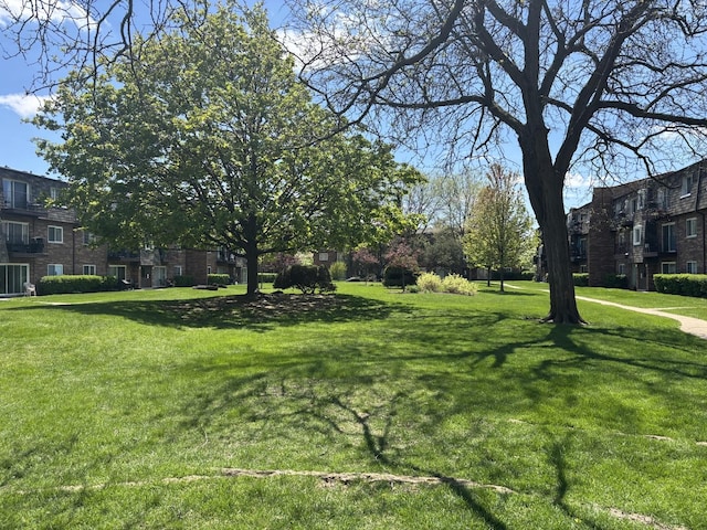 view of green lawn