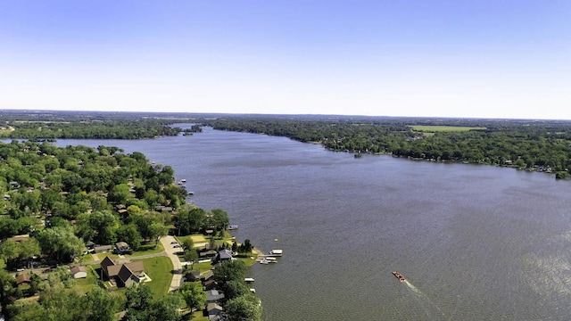 aerial view of a large body of water and a forest
