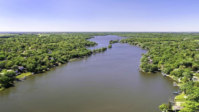 bird's eye view of a large body of water and a forest