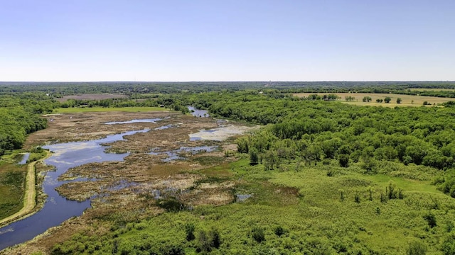drone / aerial view of a large body of water and a forest