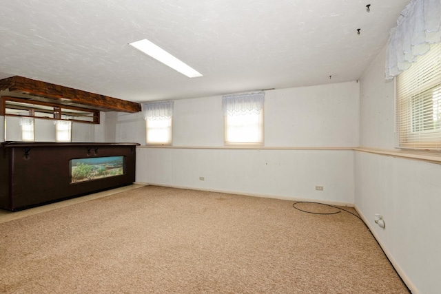 basement featuring carpet and plenty of natural light