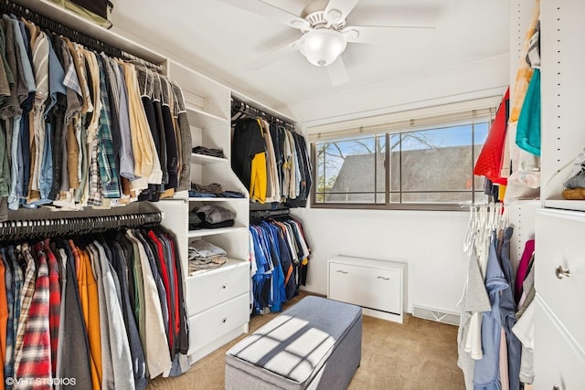 walk in closet featuring carpet flooring and ceiling fan
