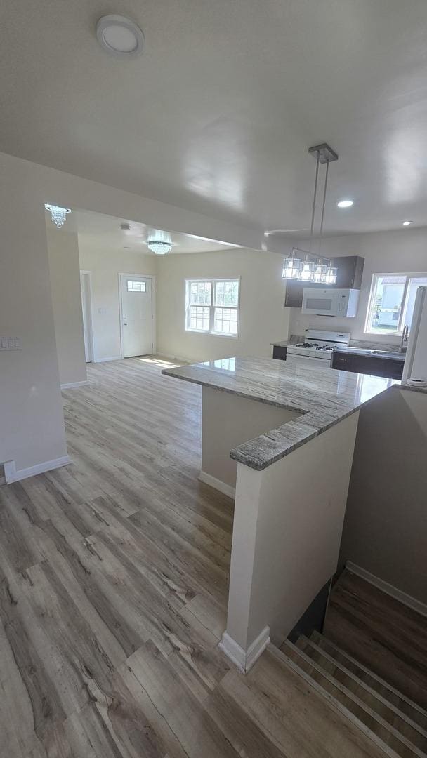 301 N W Ave, Kankakee, IL 60901 - kitchen with white appliances, light stone counters, baseboards, wood finished floors, and recessed lighting