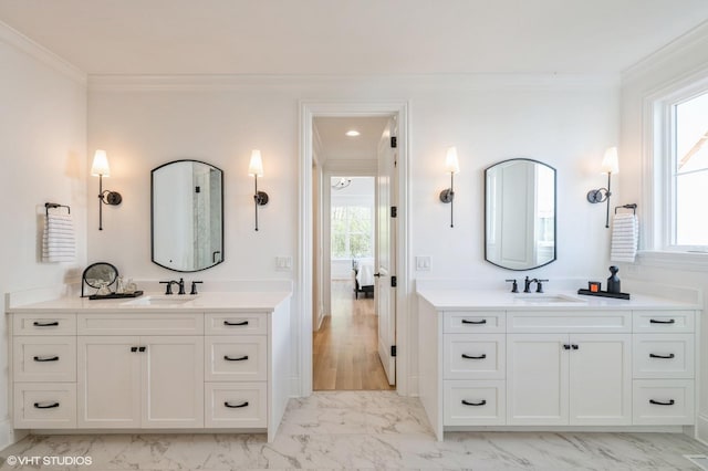 bathroom with ornamental molding and a sink