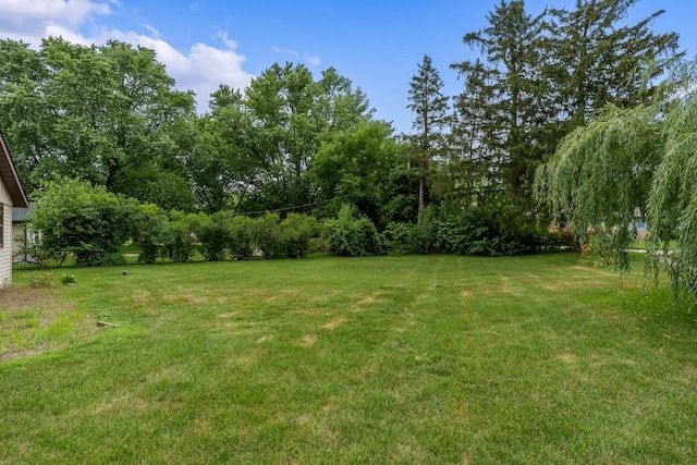 12021 July Dr, Machesney Park, IL 61115 - photo 44