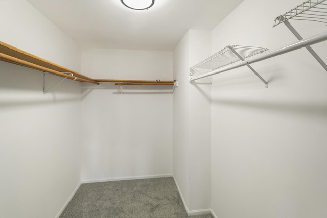 3618 Ronald Rd, Crete, IL 60417 - spacious closet featuring carpet flooring