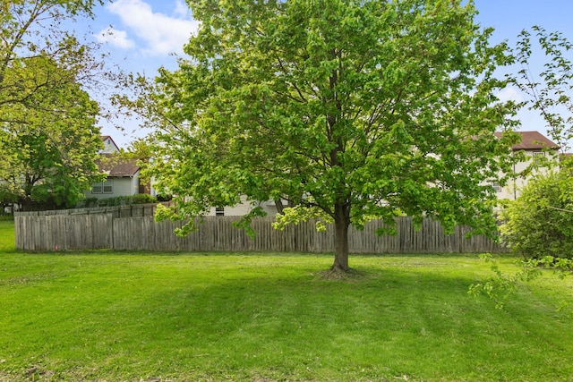 3618 Ronald Rd, Crete, IL 60417 - view of yard