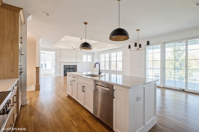 kitchen featuring a raised ceiling, wood finished floors, open floor plan, and dishwasher