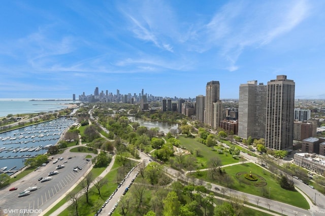 aerial view of a view of skyline and a large body of water