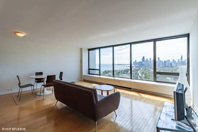 living area featuring light wood finished floors