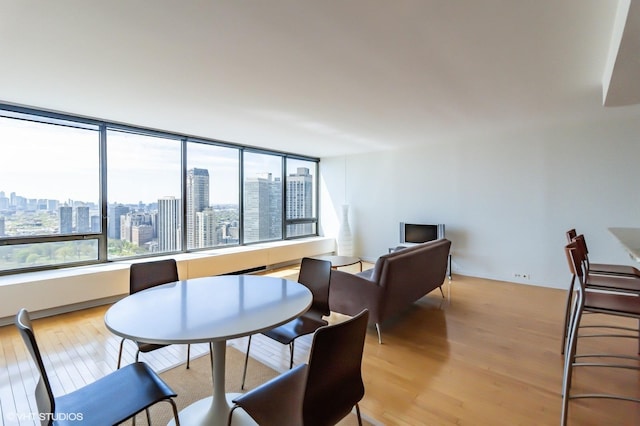 sitting room featuring light wood-style floors and a view of city