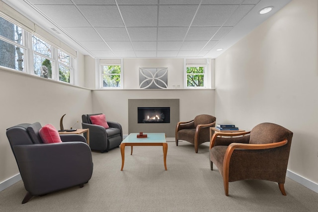 living area with plenty of natural light, carpet, a warm lit fireplace, a drop ceiling, and baseboards