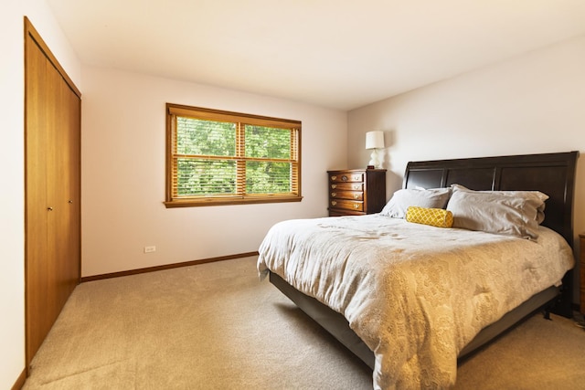 1494 Applegate Dr, Naperville, IL 60565 - bedroom featuring light carpet, baseboards, and a closet