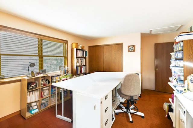 1494 Applegate Dr, Naperville, IL 60565 - office space featuring attic access
