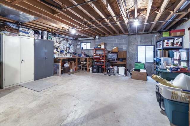 1494 Applegate Dr, Naperville, IL 60565 - below grade area with a workshop area and plenty of natural light