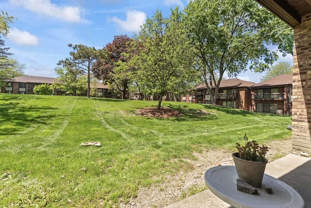 18424 Kedzie Ave Unit 1A, Homewood, IL 60430 - photo 13