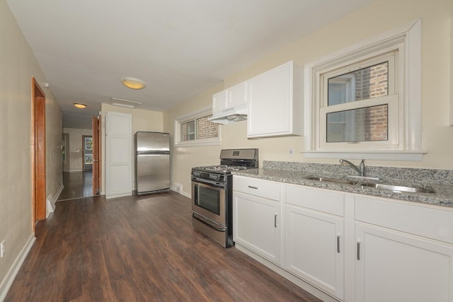 8007 S Houston Ave, Chicago, IL 60617 - kitchen with stainless steel appliances, under cabinet range hood, a sink, dark wood-style flooring, and light stone counters
