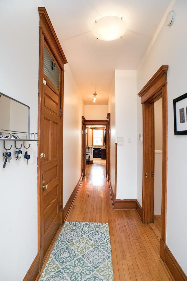 5338 S Greenwood Ave Unit 3, Chicago, IL 60615 - hallway featuring light wood-style floors and baseboards
