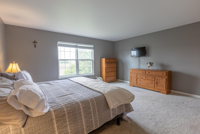 7509 Rosewind Dr, Plainfield, IL 60586 - photo 9