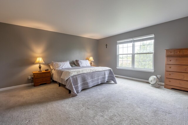7509 Rosewind Dr, Plainfield, IL 60586 - photo 10