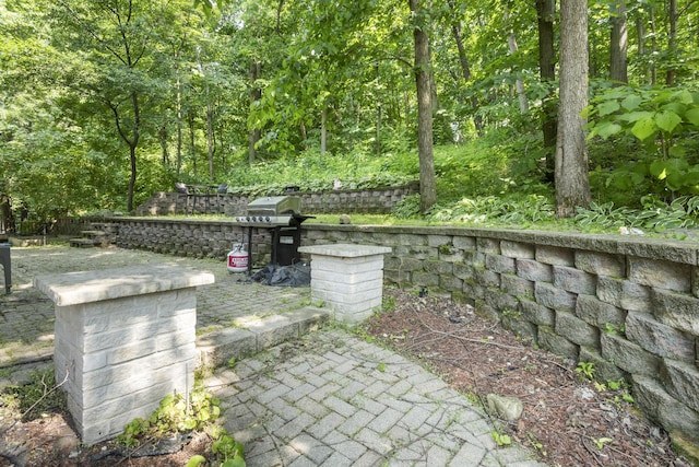 440 Delaware Cir, Bolingbrook, IL 60440 - view of patio featuring area for grilling and a forest view