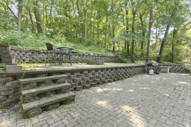 440 Delaware Cir, Bolingbrook, IL 60440 - view of patio with a grill