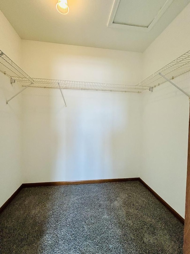 spacious closet with attic access and carpet