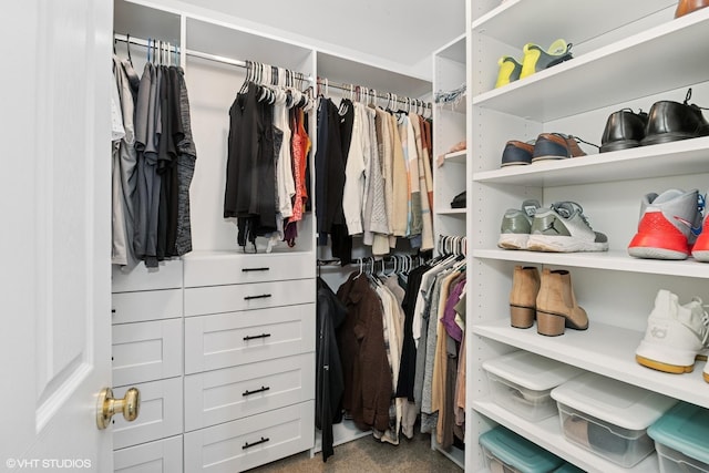 view of spacious closet