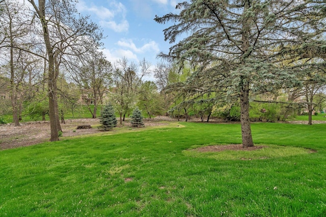 view of grassy yard