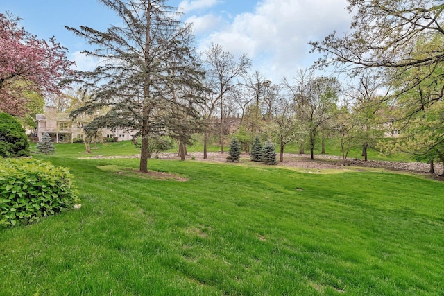 view of grassy yard