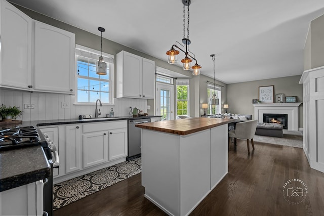 2027 Heatherstone Ct, Plainfield, IL 60586 - kitchen featuring a sink, stainless steel appliances, wood counters, white cabinets, and dark wood-style floors