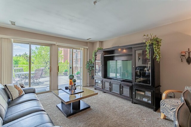 50 N Bokelman Ave Unit 233, Roselle, IL 60172 - view of carpeted living room