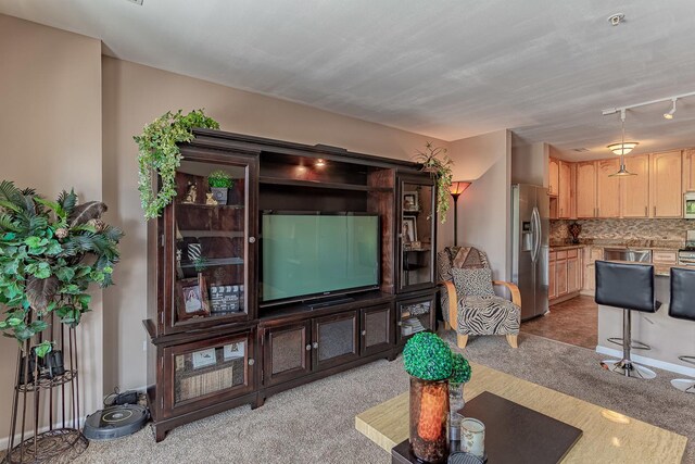 50 N Bokelman Ave Unit 233, Roselle, IL 60172 - living room featuring light carpet and track lighting