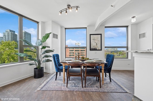 dining room with healthy amount of natural light, baseboards, and wood finished floors