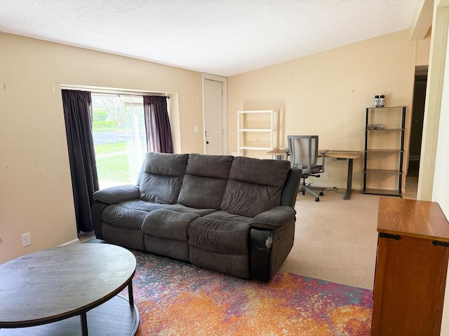 carpeted living area with an office area