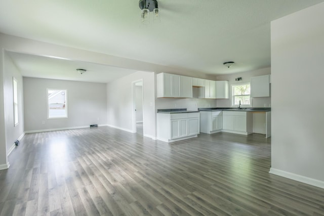 211 N Center St, Buda, IL 61314 - unfurnished living room featuring baseboards, dark wood-style floors, and a sink